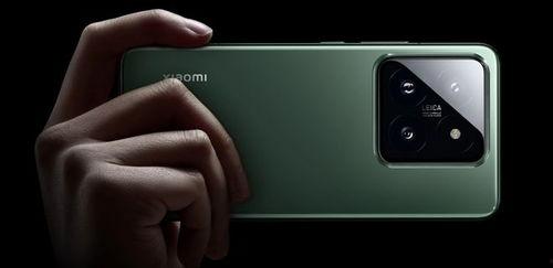 小米15标准版最新爆料